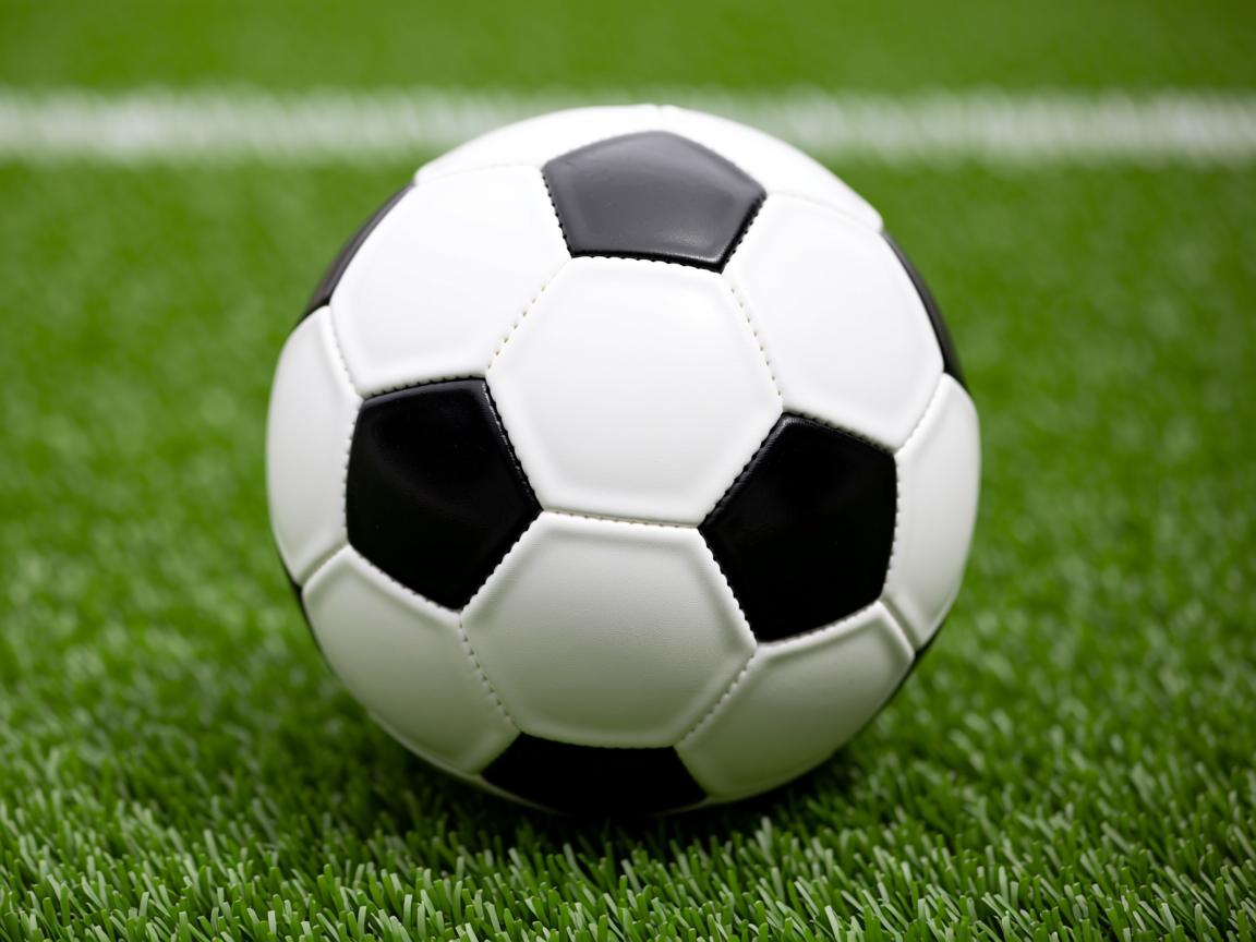 平博体育-国际乒联混合团体世界杯：澳大利亚队的表现让人期待未来，乒乓男团澳大利亚  第2张