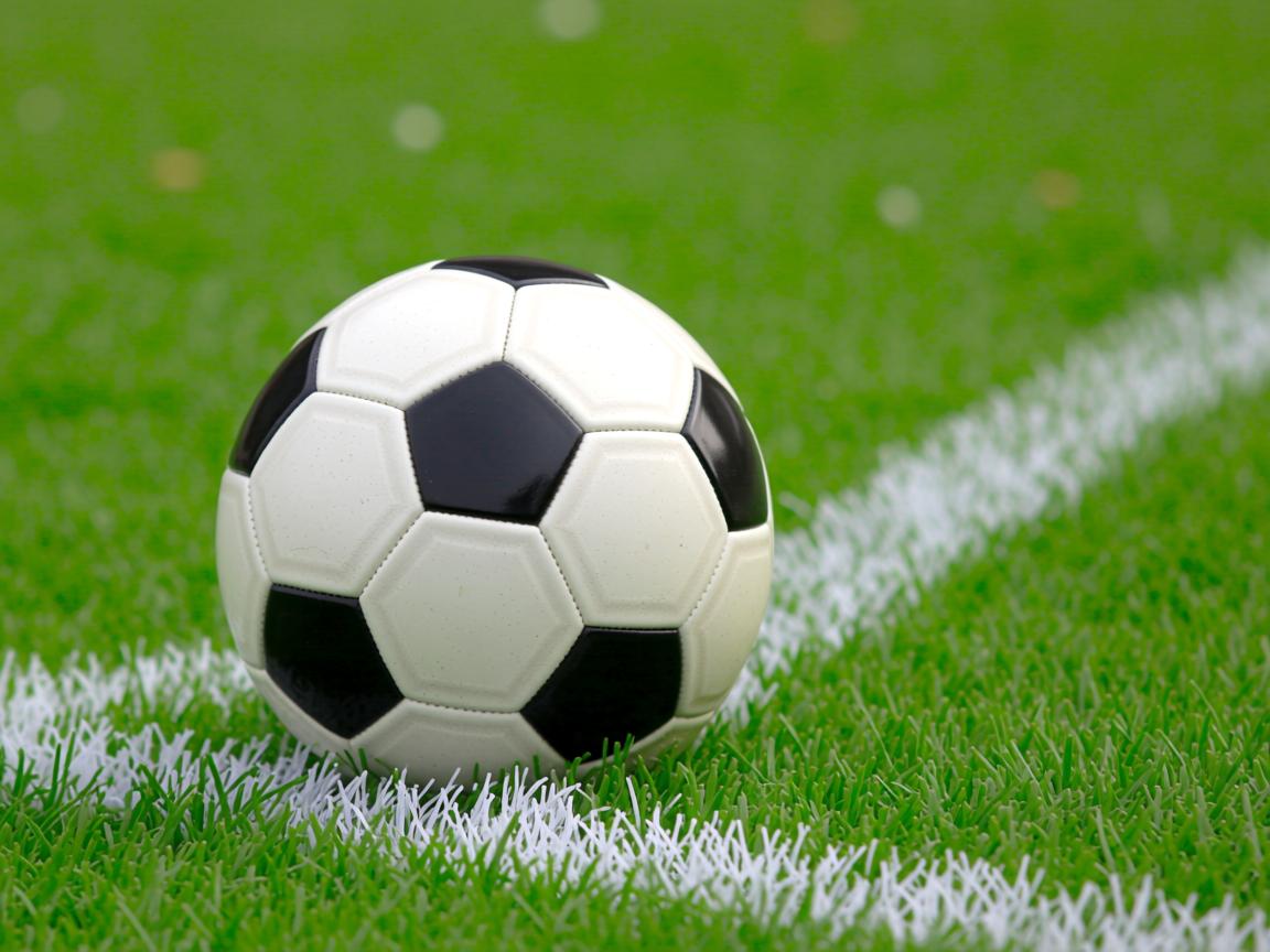 平博体育-国际乒联混合团体世界杯：澳大利亚队的表现让人期待未来，乒乓男团澳大利亚  第3张